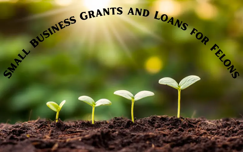 Small Business Grants and Loans for Felons