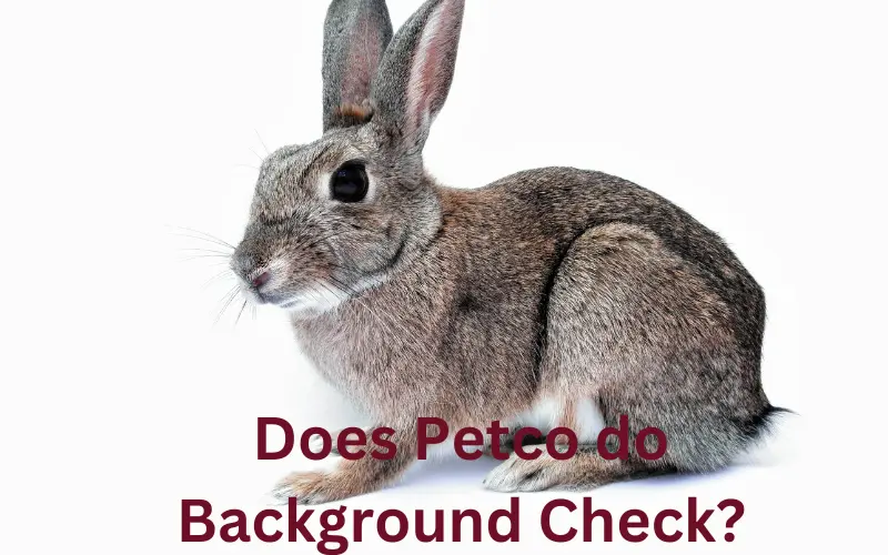 Does Petco do Background Check