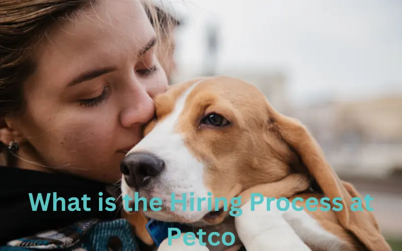 What is the Hiring Process at Petco